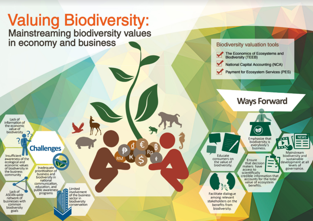 Valuing Biodiversity: Mainstreaming Biodiversity In Economy And ...